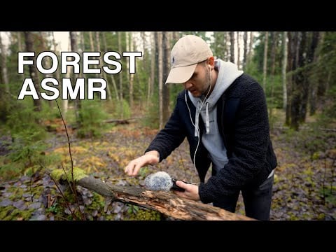ASMR in the forest
