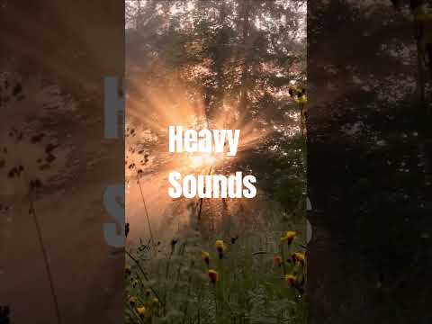 Heavy Birds Sounds for relax
