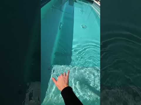 asmr game at the pool 💕 if i write your name you’re out #asmrgame #fyp #oddlysatisfying #asmr