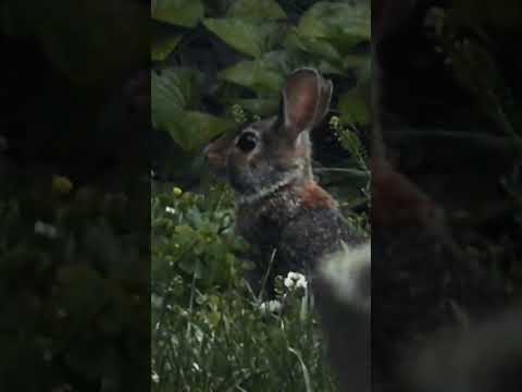from my digital camera 🍥🃏🪄🐇