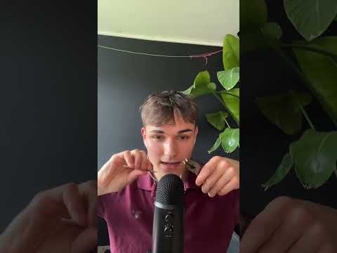 The recreation of my most famous tiktok video