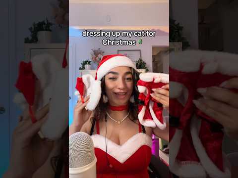 dressed my cat in her Christmas outfit lol #asmr