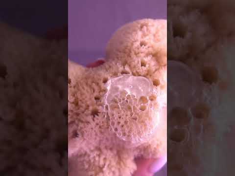 Your daily dose of ASMR 🍥