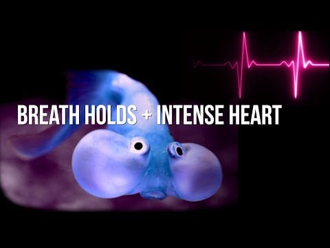 Female Heartbeat With Breath Holds | Intense Heartbeat Towards The End