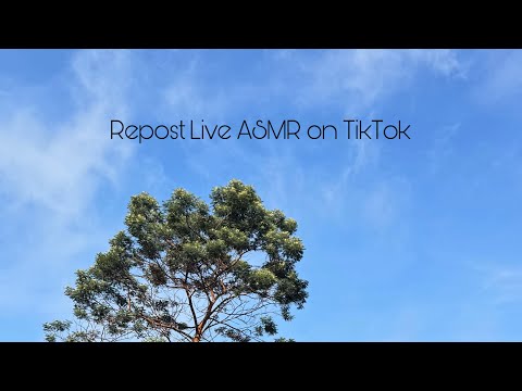 Repost Live ASMR on TikTok! 🌬️🪼🦋