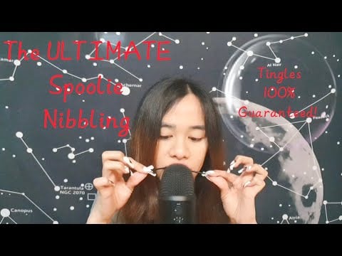 ASMR The ULTIMATE Spoolie Nibbling