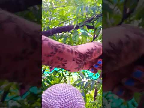 removing heena #asmr  #naturesounds