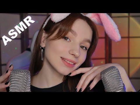 Puffin Asmr Instagram