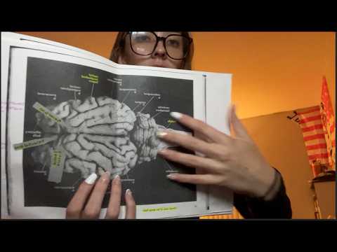 ASMR teaching you brain anatomy 🧠💖 ~ soft spoken