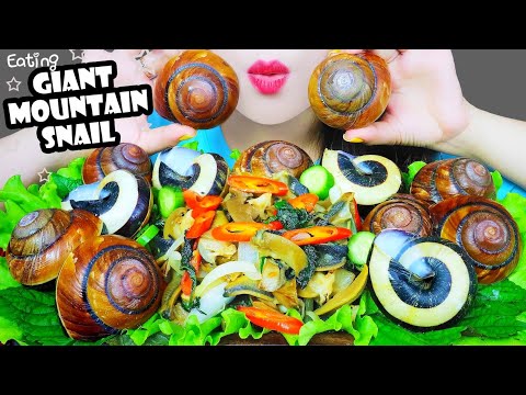 ASMR FRIED GIANT MOUNTAIN SNAIL WITH PERILLA LEAVES , EATING SOUNDS | LINH-ASMR