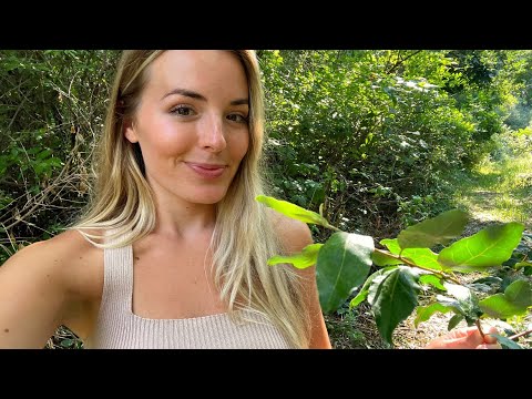 ASMR Come On a Nature walk w/ Me