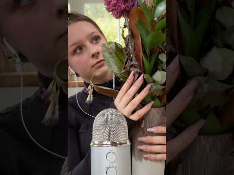 New member video online 🫶🏼💐 #asmr #asmrshorts