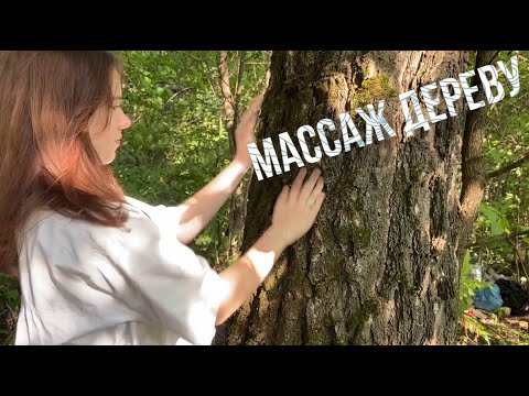 ASMR Массаж Дереву Giving A Tree A Massage