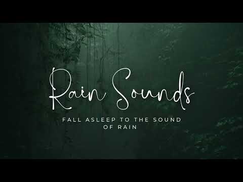 fall asleep to rain sounds & white noise | ASMR & Lo-Fi White Noise Sounds to Relax & Fall Asleep 😴💤