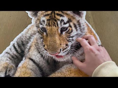 ASMR | Tiger Puzzle 🐯🧩 (Scratching & Tapping)