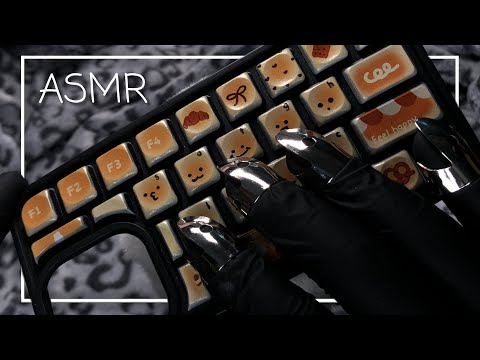 ASMR 1 Hour Toast Phone Case Tapping & Scratching 🍞 (No Talking)