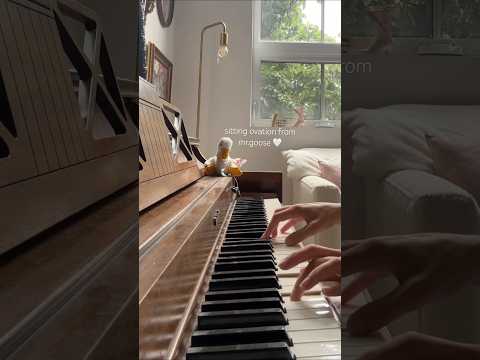 Learning Piano 🤍 #piano #pianomusic #pianocover #peaceful #relax