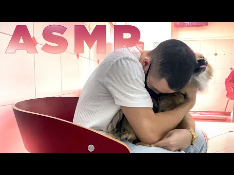 ASMR LEVANDO MEU CACHORRO PRA FAZER CIRURGIA – VLOG