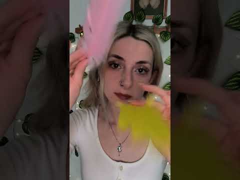 ASMR Follow the feathers