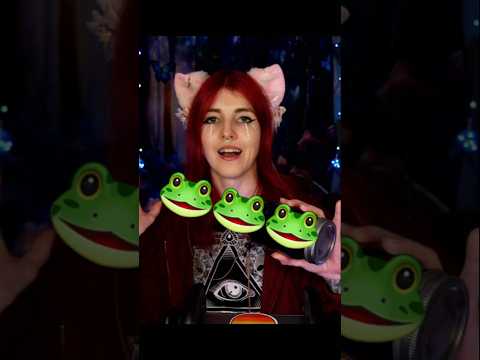 How many frogs are in there ASMR blooper