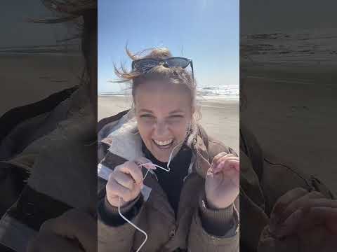 ASMR at the Ocean 🌊 (Live Replay)