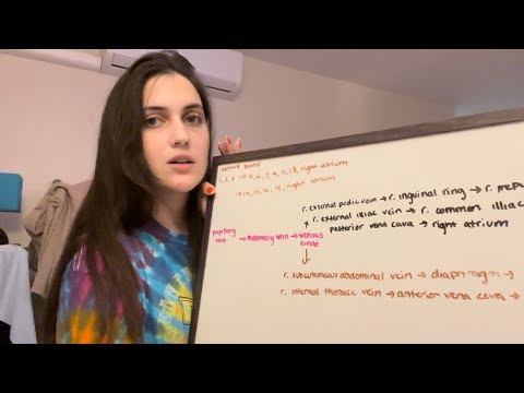 Asmr | Study With Me (Softly Spoken)