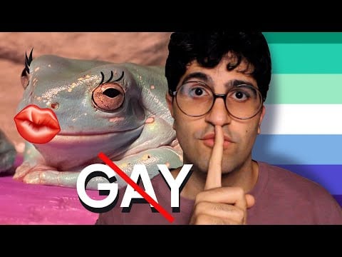 [ASMR] You're Not Gay Course (You're Definitely Gay)