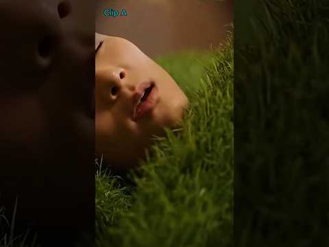 Grass 🌸 vs Sand 🌿 Bed — Cast Your Vote!