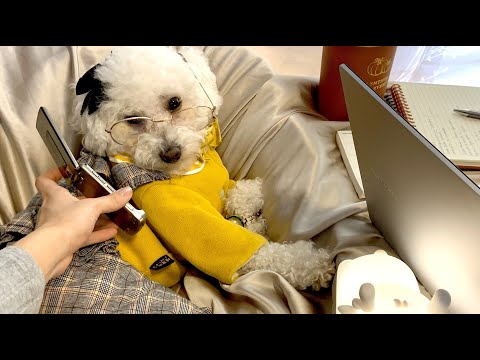 ASMR Office Ambience | Typing, Writing & Whispering