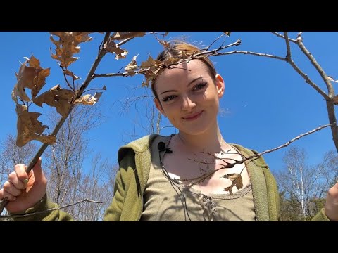 ASMR in Nature! 🌸🌲🌱(lofi, birds chirping, rock clacking)