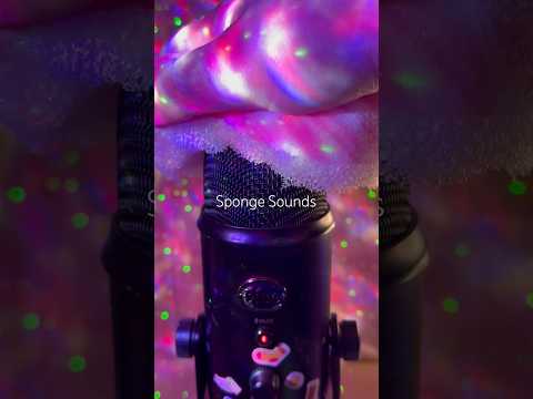 Crunchy Sponge Sounds! #7on1s #7on1sasmr #SpongeSounds #shorts