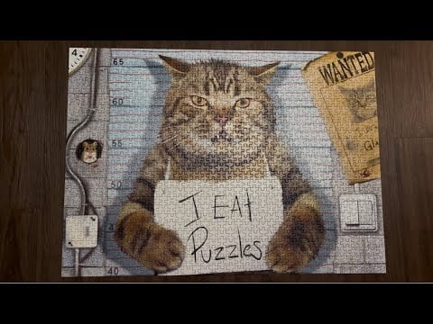 ASMR Showing Off My Finished 1,000 Piece Cat Puzzle