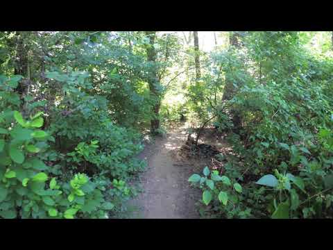 ASMR Hiking Binaural Narrow Path Next to a River with Warming Sunshine