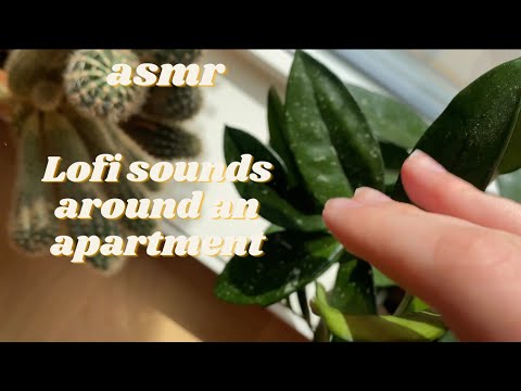 Asmr triggers around an apartment