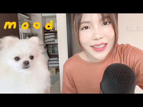 ASMR น้องหมา | My dog tries ASMR 🐶