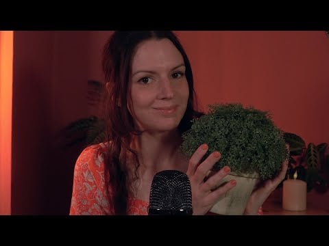 ASMR Crispy, crunchy, how do I explain this sound.