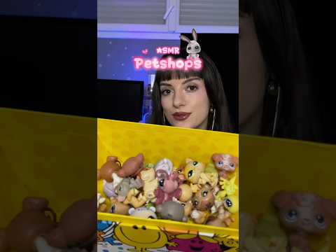 ASMR avec des PETSHOPS 🐰💕 #asmrfrançais #petshops