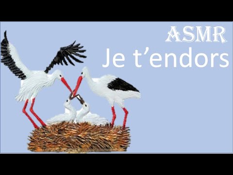 {ASMR} Je t'endors en lecture chuchotée