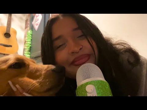 My dog tried ASMR