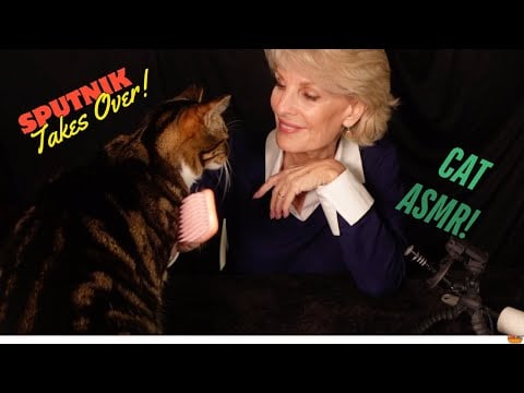 UNEXPECTED #ASMR COLLAB WHEN SPUTNIK THE CAT TAKES OVER!