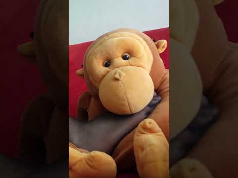 You can't stop watching this ASMR No Talking