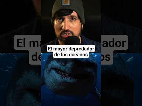 Megalodón VS Tiburón blanco 😱