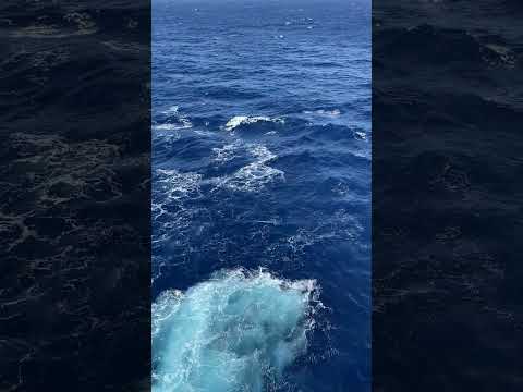 Relaxing moment at sea. #oceanwaves #oceansounds #asmr