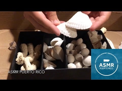 Tapping and Scratching with Seashells | Unique Textured Objects | Relaxing ASMR Sounds