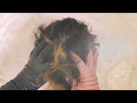 LEATHER GLOVES ღ RELAXING HEAD MASSAGE ღ  WHISPER 💋  [[ASMR]]