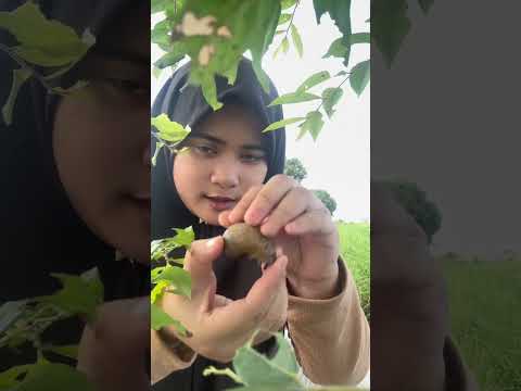 Makeup artis ke Sasar di sawah ???POV MAKEUP DI SAWAH #relax #asmrvideo