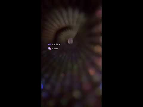 【LIVEアーカイブ】ASMR Eyes on Me 👀 Gatilhos Visuais para Sono Profundo
