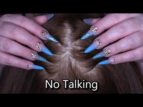 ASMR Scalp Check with Long Nails (NO TALKING) (Scalp Scratching, Close Up) Hairdresser Roleplay