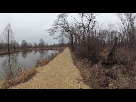 ASMR Hiking Along a Crunchy Gravel Trail