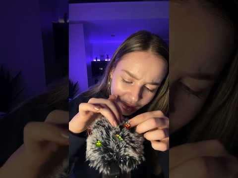 Bugs ASMR🐛 #asmrbugs#asmrbugsearching#asmrmicbrushing#asmr